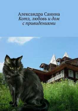 Александра Санина Котэ, любовь и дом с привидениями обложка книги