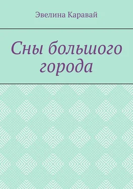 Эвелина Каравай Сны большого города обложка книги