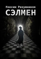 Максим Разумников - Сэлмен