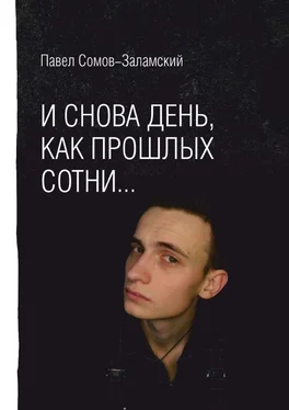 Павел Сомов-Заламский И снова день, как прошлых сотни… обложка книги