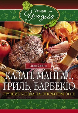 Иван Зорин Казан, мангал, гриль, барбекю. Лучшие блюда на открытом огне