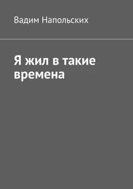 Вадим Напольских Я жил в такие времена обложка книги