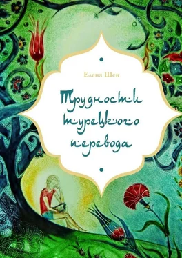 Елена Шен Трудности турецкого перевода обложка книги