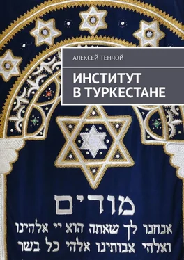 Алексей Тенчой Институт в Туркестане обложка книги