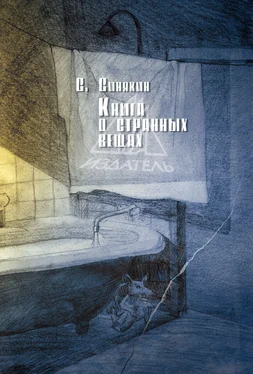 Сергей Синякин Книга о странных вещах обложка книги
