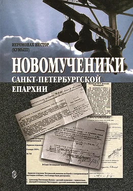 Игумен Нестор (Кумыш) Новомученики Санкт-Петербургской епархии обложка книги