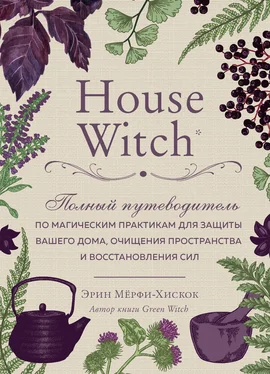 Эрин Мёрфи-Хискок House Witch. Полный путеводитель по магическим практикам для защиты вашего дома, очищения пространства и восстановления сил обложка книги