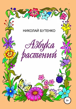 Николай Бутенко Азбука растений обложка книги