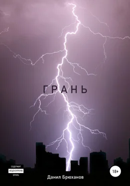 Данил Брюханов Грань обложка книги
