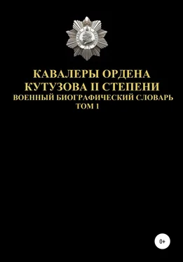 Денис Соловьев Кавалеры ордена Кутузова II степени. Том 1 обложка книги