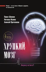 Алексей Протопопов - Хрупкий мозг. Инсульту не быть?