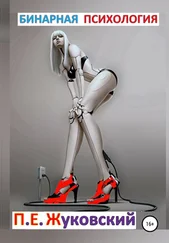 Павел Жуковский - Бинарная психология