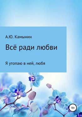 Андрей Камынин Всё ради любви обложка книги