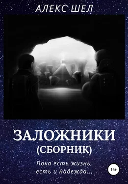 Алекс Шел Заложники обложка книги