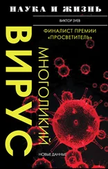 Виктор Зуев - Многоликий вирус