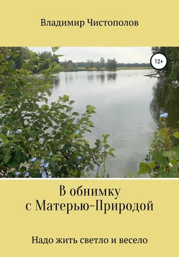 Владимир Чистополов В обнимку с Матерью-Природой обложка книги