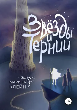 Марина Клейн Звезды и тернии обложка книги