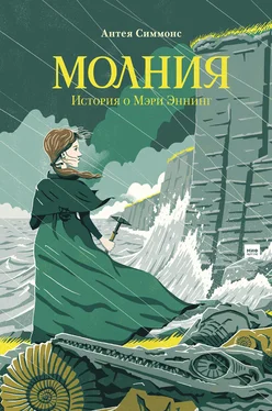 Антея Симмонс Молния обложка книги