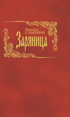 Никита Самохин Заряница обложка книги