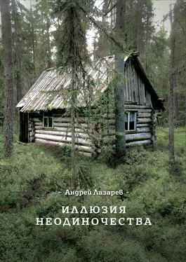 Андрей Лазарев Иллюзия неодиночества обложка книги