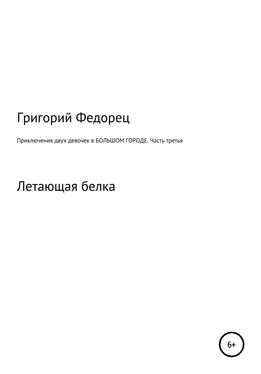 Григорий Федорец Приключения двух девочек в большом городе. Часть третья обложка книги