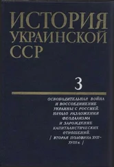 Коллектив авторов - История Украинской ССР в десяти томах. Том третий