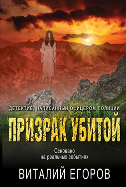 Виталий Егоров Призрак убитой обложка книги