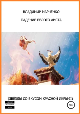 Владимир Марченко Падение белого аиста (Звёзды со вкусом красной икры-II) обложка книги