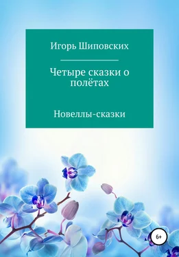 Игорь Шиповских Четыре сказки о полётах обложка книги