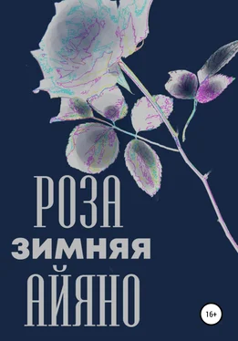 Павел Колпаков Зимняя роза Айяно обложка книги