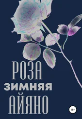 Павел Колпаков - Зимняя роза Айяно