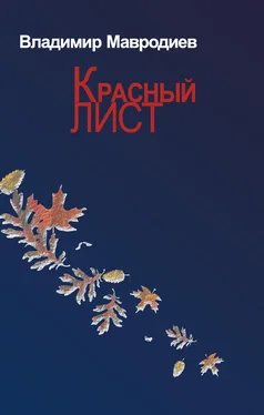 Владимир Мавродиев Красный лист обложка книги