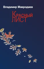 Владимир Мавродиев - Красный лист