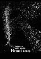 Владимир Мавродиев - Ночной ветер