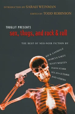 Sarah Weinman Sex, Thugs, Roll, and Rock & Roll обложка книги
