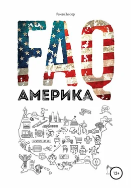 Роман Зинзер FAQ Америка обложка книги