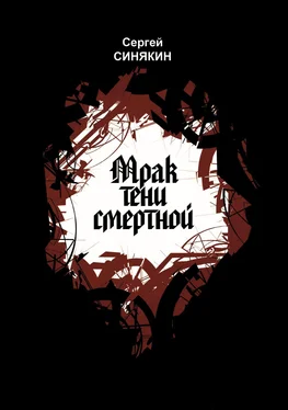 Сергей Синякин Мрак тени смертной обложка книги