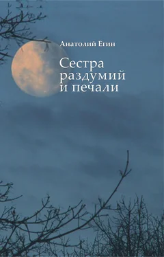 Анатолий Егин Сестра раздумий и печали обложка книги