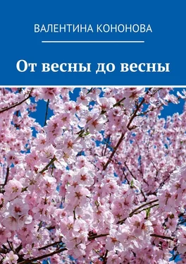 Валентина Кононова От весны до весны обложка книги