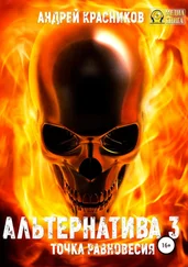 Андрей Красников - Альтернатива #3. Точка равновесия