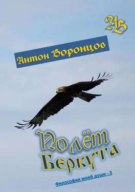 Антон Воронцов Полёт беркута. Философия моей души – 3 обложка книги