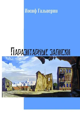Иосиф Гальперин Паразитарные записки обложка книги