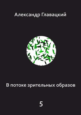 Александр Главацкий В потоке зрительных образов – 5 обложка книги