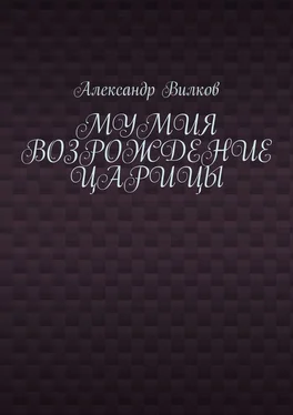 Александр Вилков Мумия. Возрождение царицы обложка книги