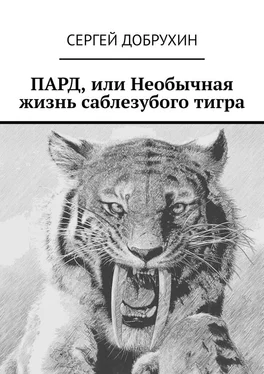 Сергей Добрухин ПАРД, или Необычная жизнь саблезубого тигра обложка книги