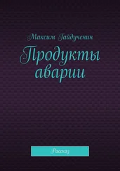Максим Гайдученин - Продукты аварии. Рассказ