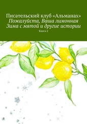 «Альманах» - Пожалуйста, Ваша лимонная Зима с мятой и другие истории. Книга 2