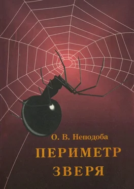 Ольга Неподоба Периметр зверя обложка книги