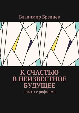 Владимир Бреднев К счастью в неизвестное будущее. Опыты с рифмами обложка книги