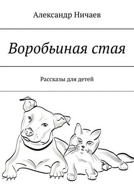 Александр Ничаев Воробьиная стая. Рассказы для детей обложка книги